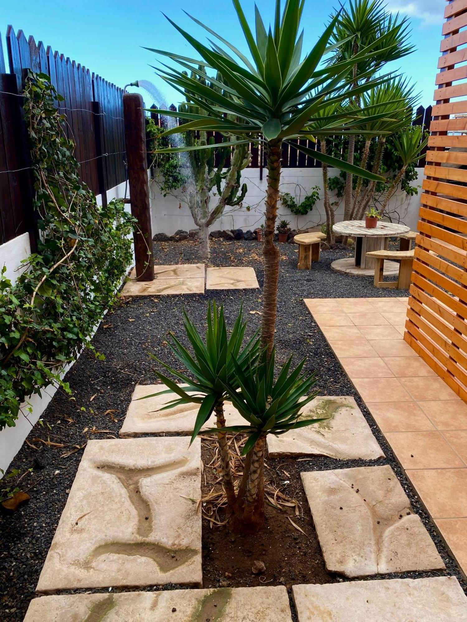 דירות לה אוליבה Blue Wave House Corralejo מראה חיצוני תמונה